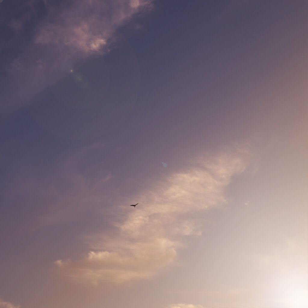 芦屋の夕暮れの空