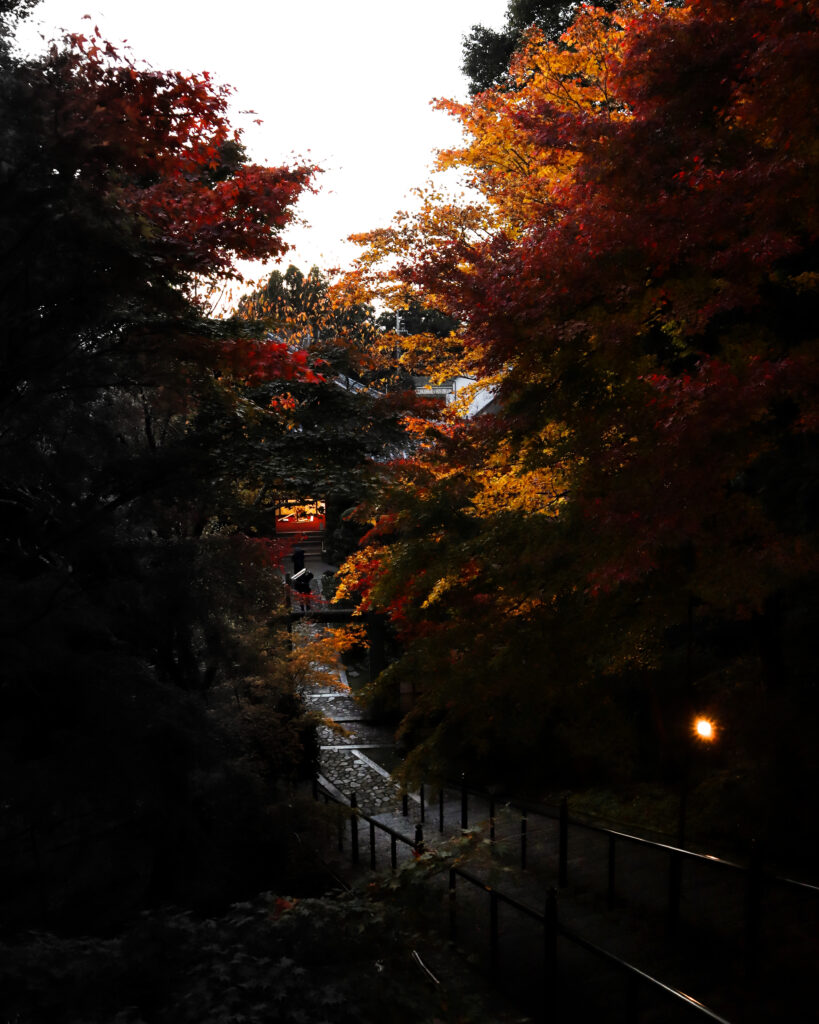 夕刻の播州清水寺の紅葉